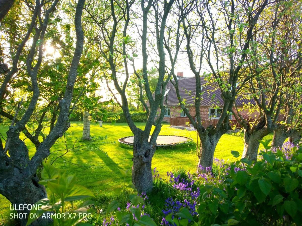Lilleledgaard Country House Ringkøbing المظهر الخارجي الصورة