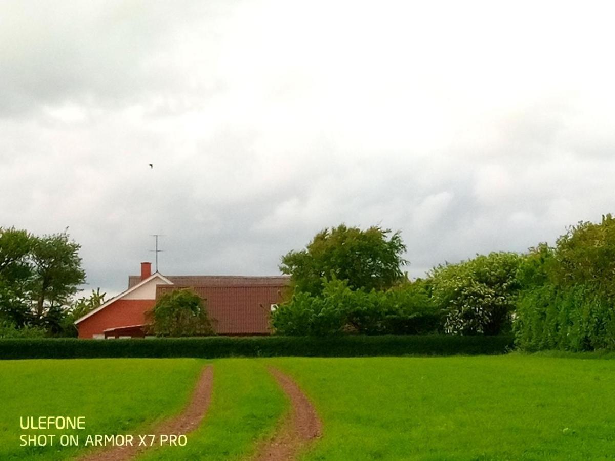 Lilleledgaard Country House Ringkøbing المظهر الخارجي الصورة